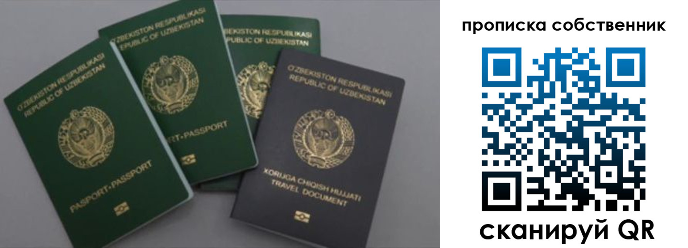 прописка штамп в Николаевске